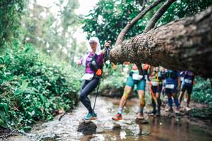 BIB: 
                            <button type="button" onclick="openModal(25372108)" class="btn btn-primary btn-sm float-right btn-popup" data-toggle="modal" data-target=".modal-high-quality">
                        <i class="fas fa-shopping-cart"></i> Add to Cart
                    </button>
                                            <button type="button" onclick="isThisMe(25372108, true)" class="btn btn-success btn-sm float-right btn-popup btn-isme hidden" data-toggle="tooltip" data-placement="bottom" title="นี่คือรูปของคุณใช่ไหม คลิกที่นี่เพื่อเอาเข้าอัลบั้ม">
                        <i class="fas fa-plus"></i> Add to album
                    </button>
                    <button type="button" onclick="isThisMe(25372108, false)" class="btn btn-warning btn-sm float-right btn-popup btn-isnotme hidden">
                        <i class="fas fa-ban"></i> Remove from album
                    </button>